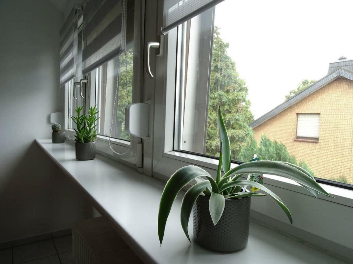 Helle Ferienwohnung In Nettetal Bei Venlo Exterior photo